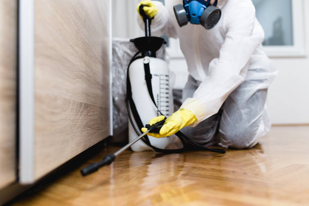 Pest Control for Restaurants in Saginaw, MI