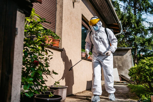 Best Insect Control  in Saginaw, MI