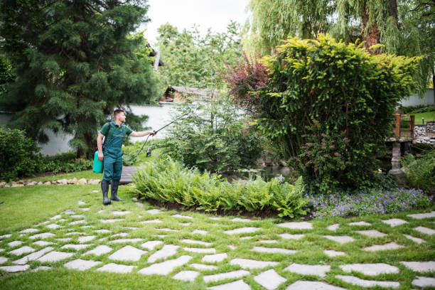 Best Residential Pest Control  in Saginaw, MI