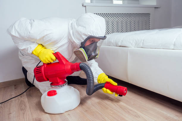 Best Mosquito Control Services  in Saginaw, MI