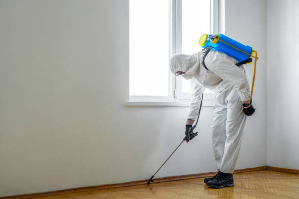 Flea Control Services in Saginaw, MI