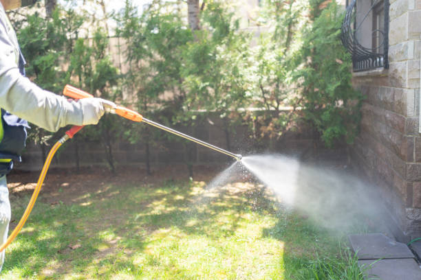 Best Rodent Control Near Me  in Saginaw, MI
