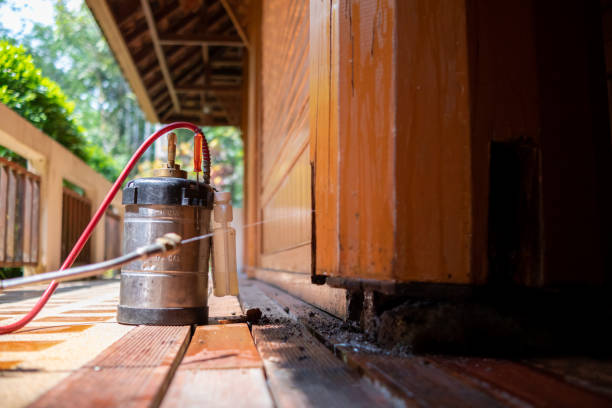 Best Mosquito Control Services  in Saginaw, MI