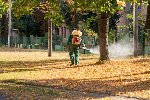 Best Emergency Pest Control  in Saginaw, MI