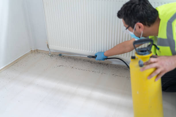 Best Pest Control for Restaurants  in Saginaw, MI