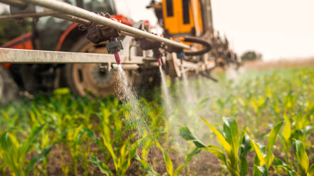 Best Ant Control Services  in Saginaw, MI
