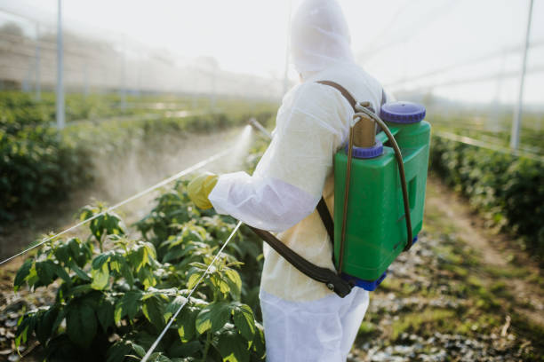 Best Termite Control Services  in Saginaw, MI